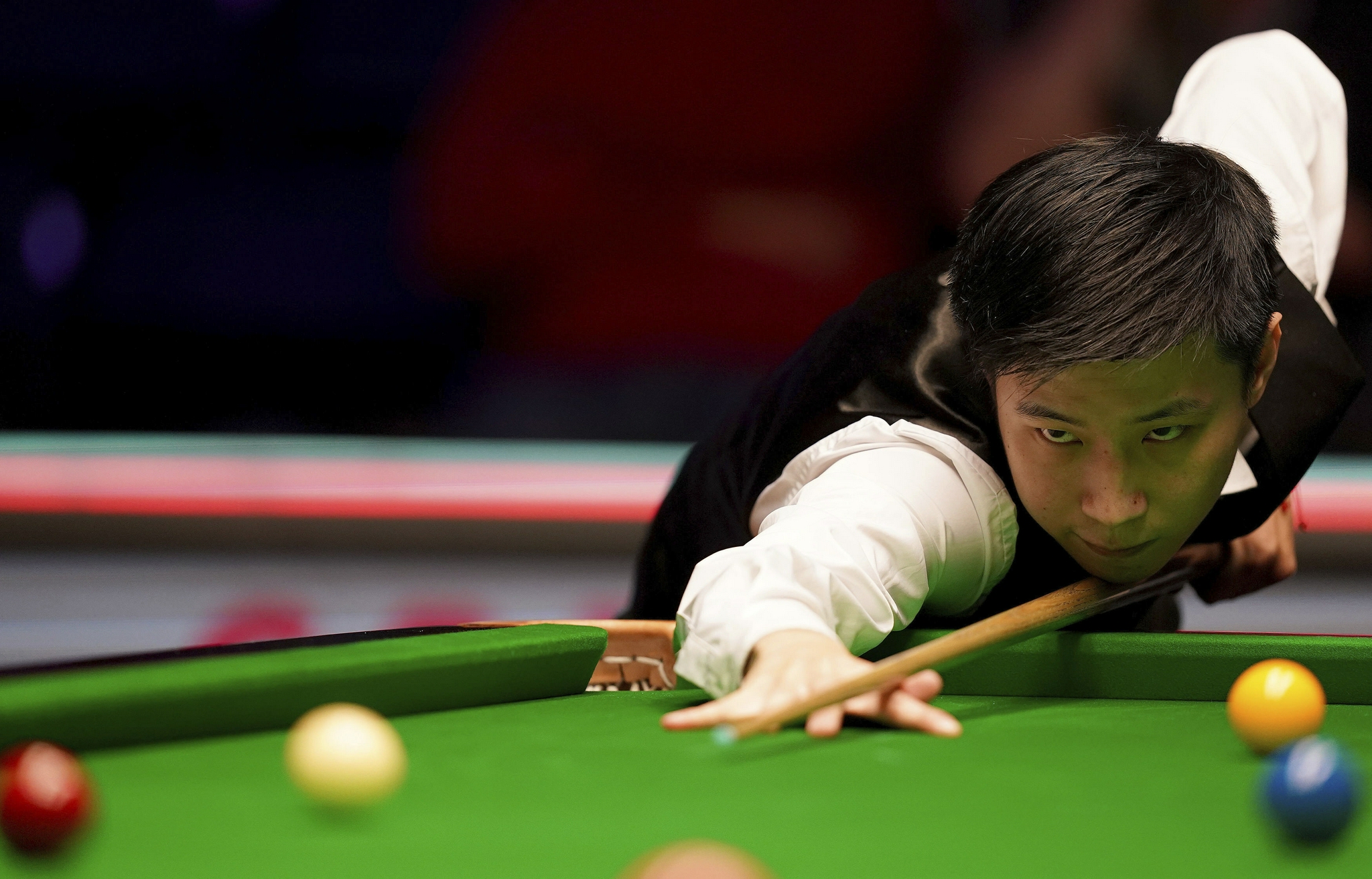 不过国王狮 不过国王狮