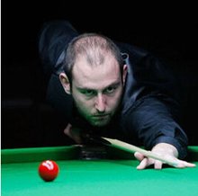 在职业体育 在职业体育